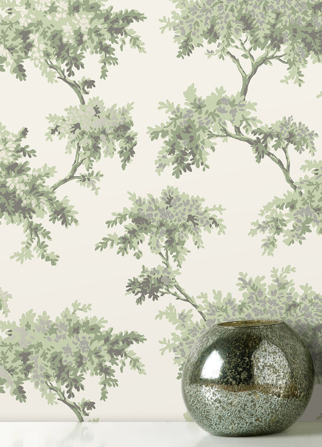 Ashdown Sage Tree Wallpaper with Botanical Trees Pattern, Modern Non Woven Unpasted - Brewster M1674