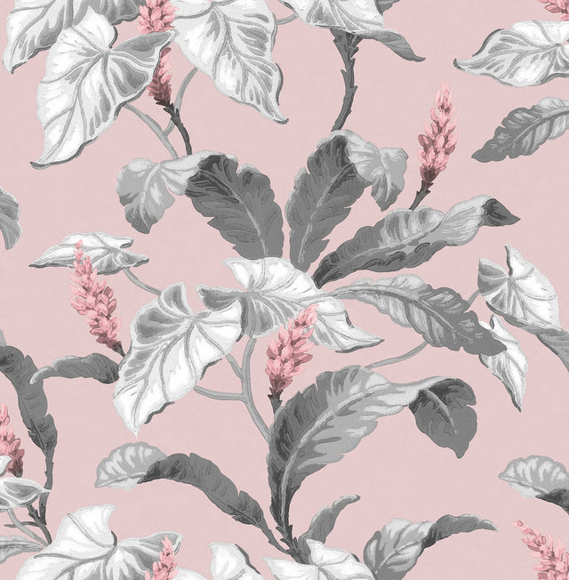 Meridian Parade Pink Tropical Leaves Wallpaper with Botanical Leaves Pattern, Tropical Style - Brewster M1690