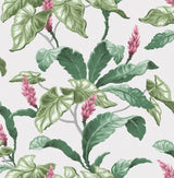 Meridian Parade Green Tropical Leaves Wallpaper with Botanical Leaf Pattern - Brewster M1692
