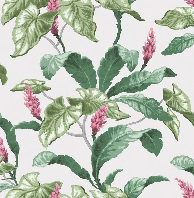 Meridian Parade Green Tropical Leaves Wallpaper with Botanical Leaf Pattern - Brewster M1692
