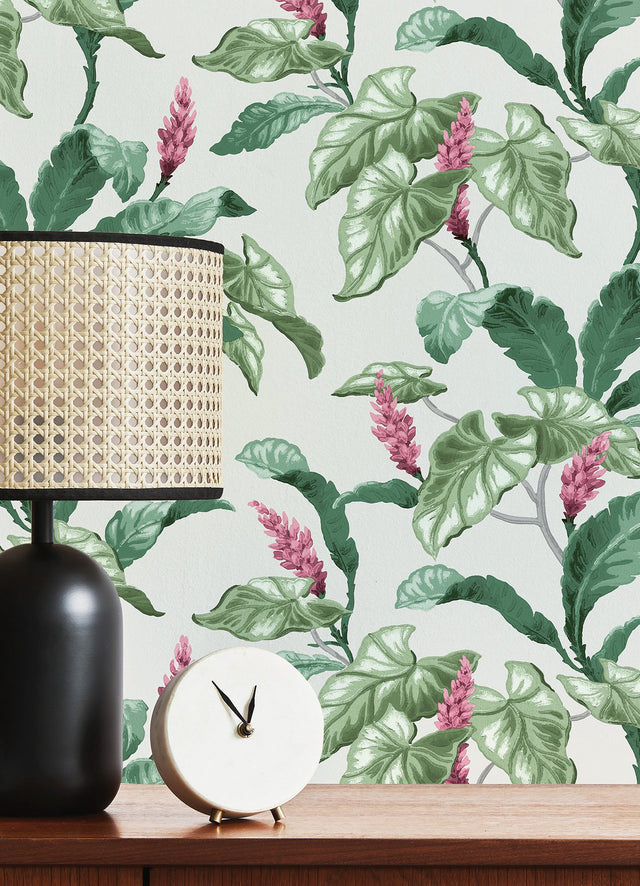 Meridian Parade Green Tropical Leaves Wallpaper with Botanical Leaf Pattern - Brewster M1692