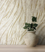 Arran Neutral by Fine Decor Swirling Stripe Wallpaper – Brewster M1861