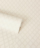Santina Eggshell by Fine Decor Trellis Wallpaper – Brewster Home Fashions M95679