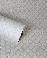 Santina Natural & Grey by Fine Decor Trellis Wallpaper – Brewster Home Fashions M95681