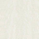 Shimmering Moire White Textured Wallpaper by Antonina Vella – MA34921