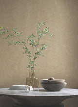 Shimmering Moire Taupe by Antonina Vella Textured Wallpaper – York Designer Series MA34922