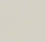 Antonina Vella Glistening Quartz Champagne Beaded Wallpaper roll and texture