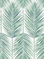 Paradise Palm wallpaper in Tropic Green with large palm fronds on a light background