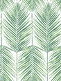 Green palm leaf pattern wallpaper