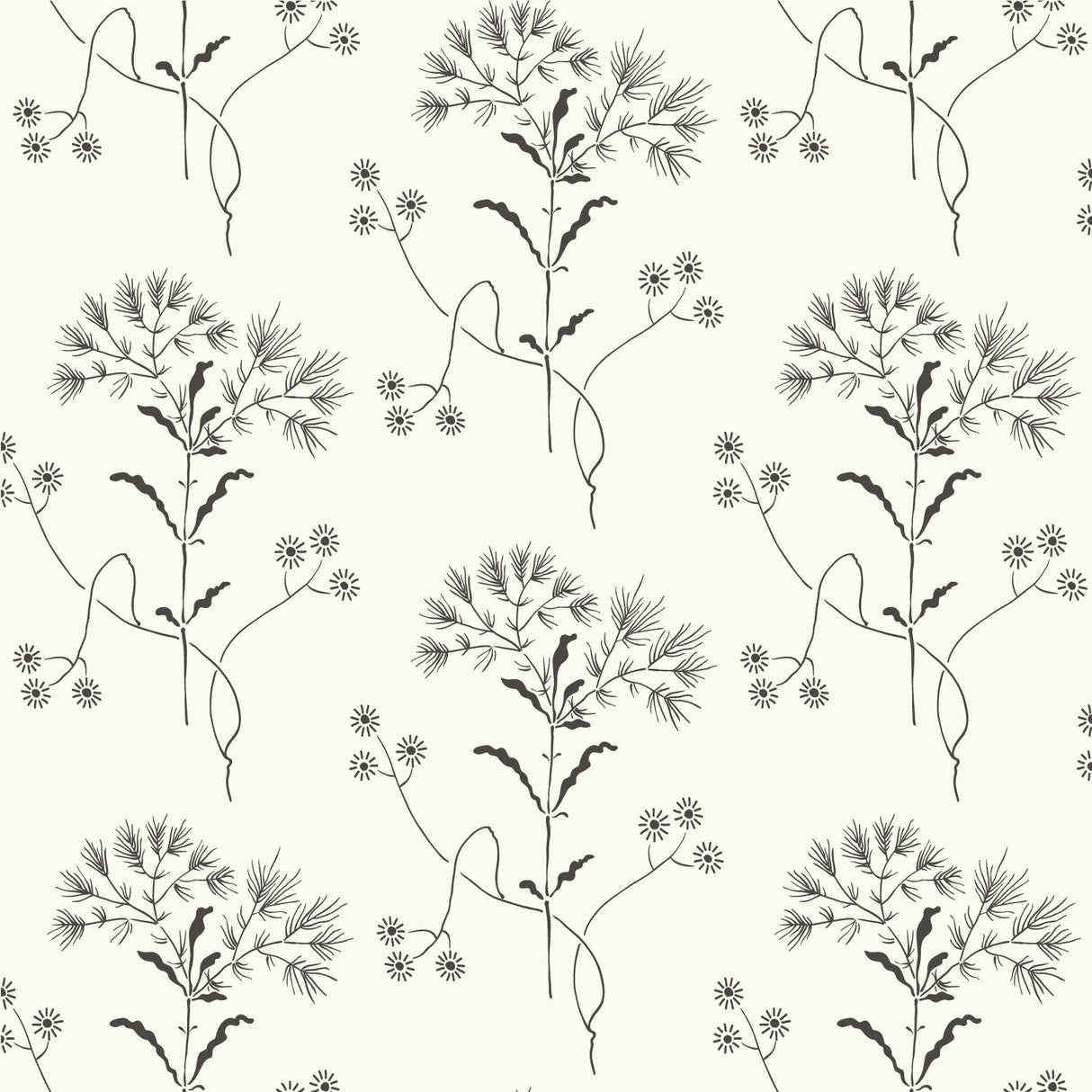 Wildflower Black & White Wallpaper with Delicate Floral Motif - York ME1515