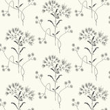 Wildflower Black & White Wallpaper with Delicate Floral Motif - York ME1515