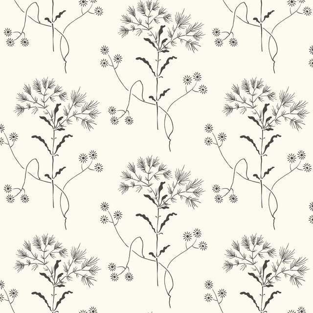 Wildflower Black & White Wallpaper with Delicate Floral Motif - York ME1515
