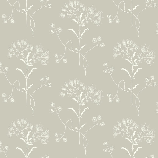 Cupola Wildflower Light Grey & White Wallpaper with Delicate Botanical Motif - York ME1516
