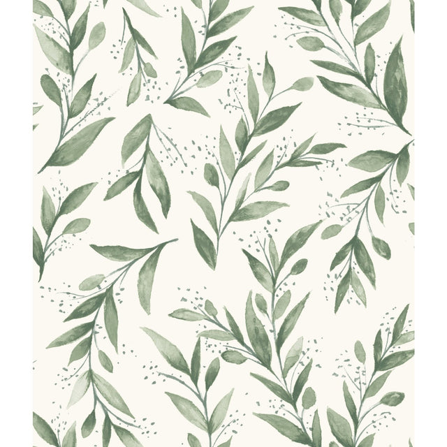 Olive Branch Olive Grove Wallpaper with Botanical Olive Leaf Pattern, Sure Strip Prepasted - York ME1535