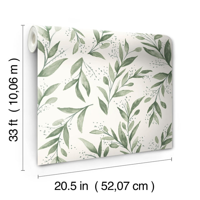 Olive Branch Olive Grove Wallpaper with Botanical Olive Leaf Pattern, Sure Strip Prepasted - York ME1535