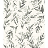 Olive Branch Charcoal Wallpaper with Botanical Olive Leaf Pattern - York ME1537