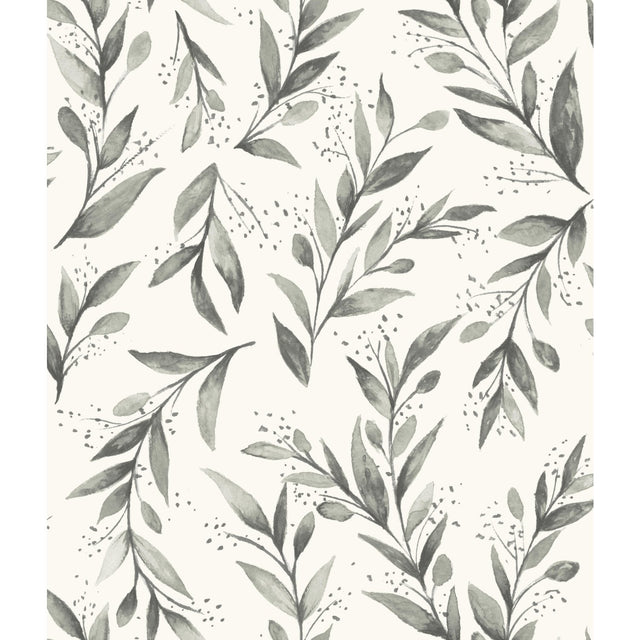 Olive Branch Charcoal Wallpaper with Botanical Olive Leaf Pattern - York ME1537