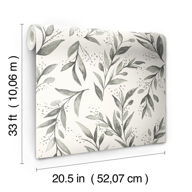 Olive Branch Charcoal Wallpaper with Botanical Olive Leaf Pattern - York ME1537