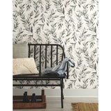 Olive Branch Charcoal Wallpaper with Botanical Olive Leaf Pattern - York ME1537
