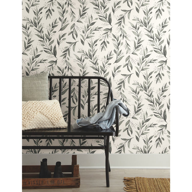 Olive Branch Charcoal Wallpaper with Botanical Olive Leaf Pattern - York ME1537