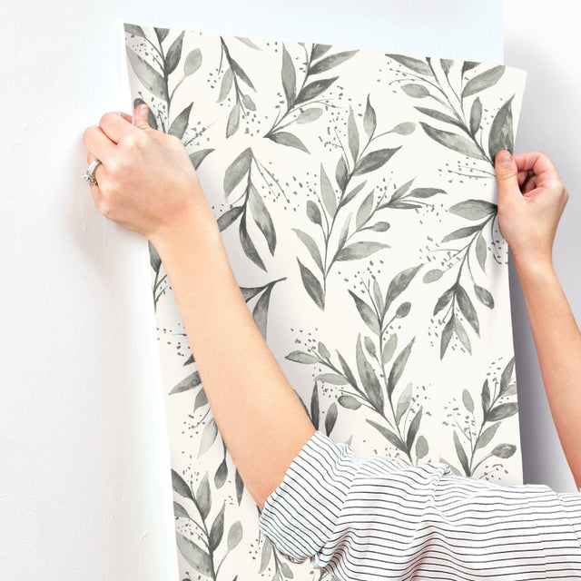 Olive Branch Charcoal Wallpaper with Botanical Olive Leaf Pattern - York ME1537