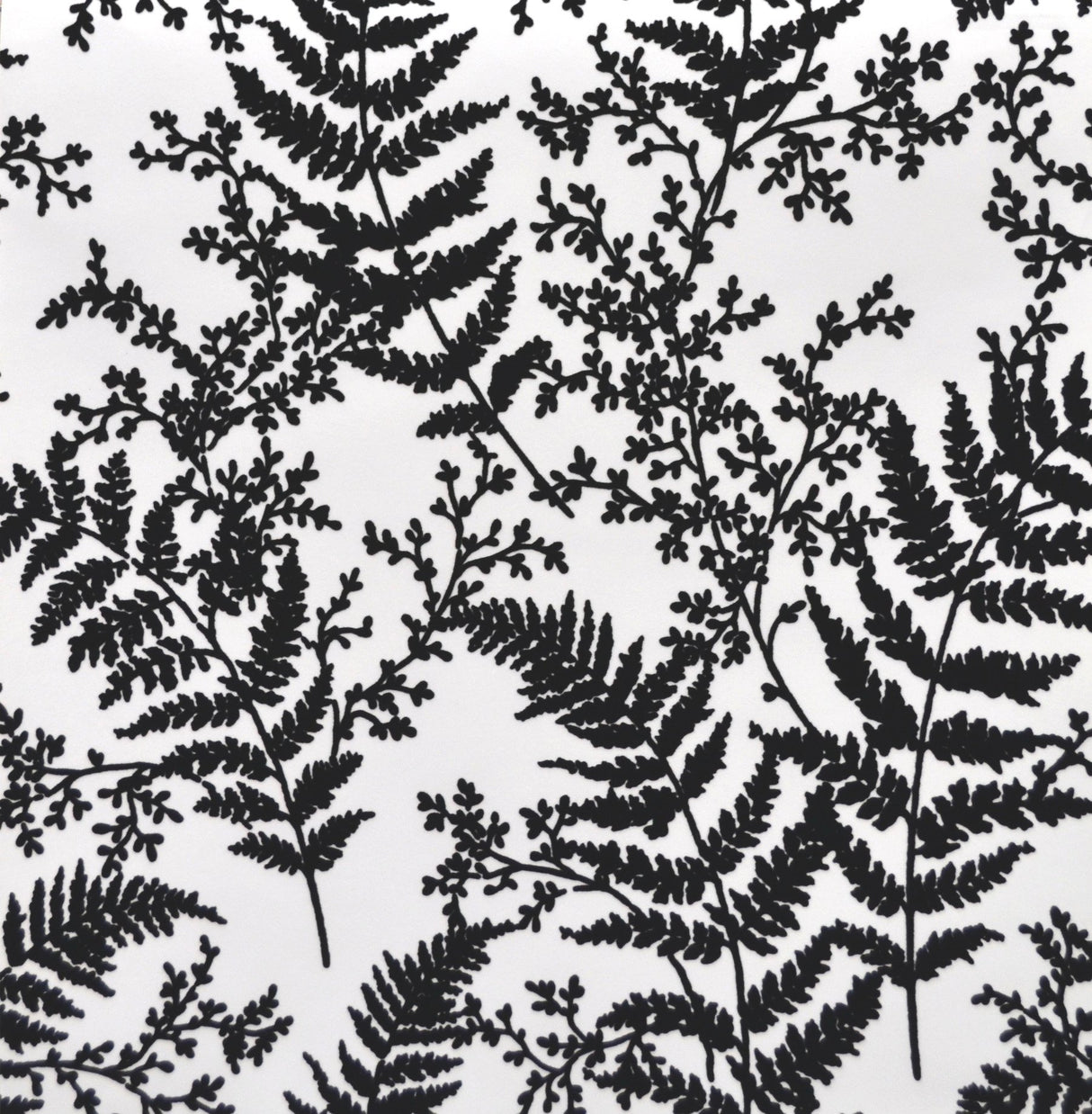 Forest Fern Flock Black Wallpaper with Velvet Flocked Botanical Pattern - York ME1583