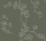 Magnolia Pine Branches Green Wallpaper with Botanical Magnolia Branch Pattern, Farmhouse Style - York MF4735