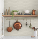 Charm Grey Wallpaper with Petite Three-Leaf Small Print - York MF4773