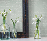 Noteworthy Green & White Wallpaper with Cursive Script Pattern Prepasted Sure Strip - York MH1609