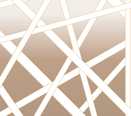 Nastri Shade Beige Wall Mural by Missoni