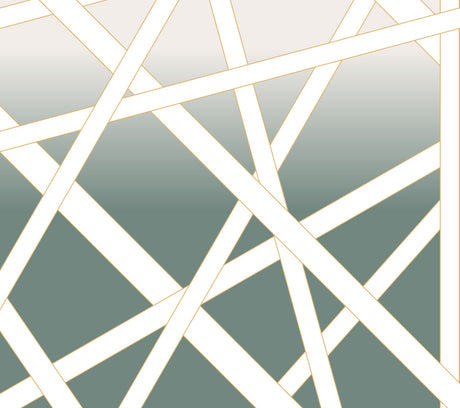 Nastri Shade Green Wall Mural by Missoni