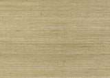 Missoni MI4766 Raffia Natural Grasscloth Wallpaper
