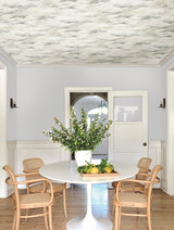 Plein Air Tan & Grey Wallpaper with Painterly Cloud Motif - York MN1810