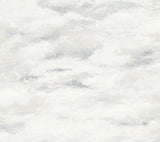 Plein Air Beige & Grey Wallpaper with Painterly Cloud Motif - York MN1811