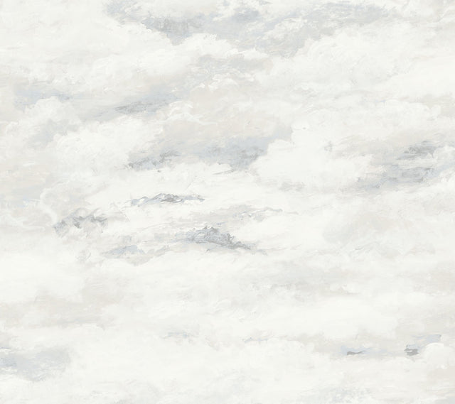 Plein Air Beige & Grey Wallpaper with Painterly Cloud Motif - York MN1811
