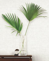 Papyrus Weave Off White Wallpaper with Textured Weave Pattern - York MN1930