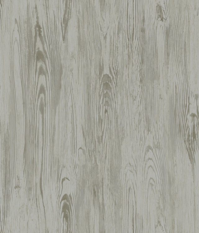 Rusticano Grey Woodgrain Prepasted Wallpaper - York MN1953