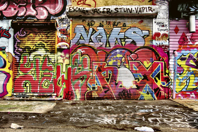 Graffiti Street Multicolor Wall Mural with Urban Graffiti Graphics  Dimex MS-5-0321