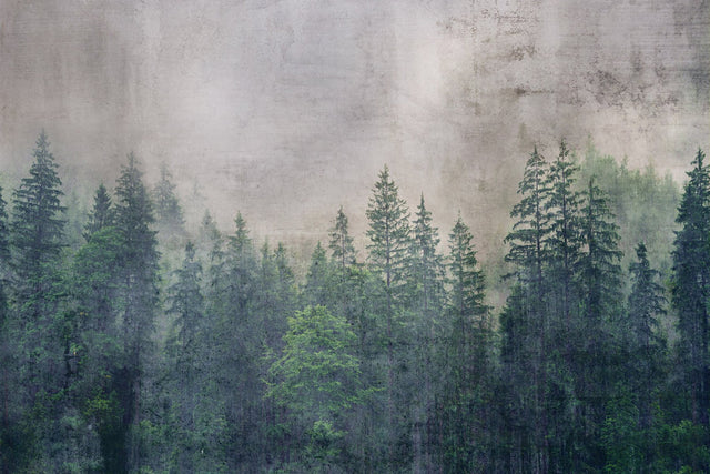 Forest Abstract Green Wall Mural with Scenic Trees Feature Wall - Dimex MS-5-0353