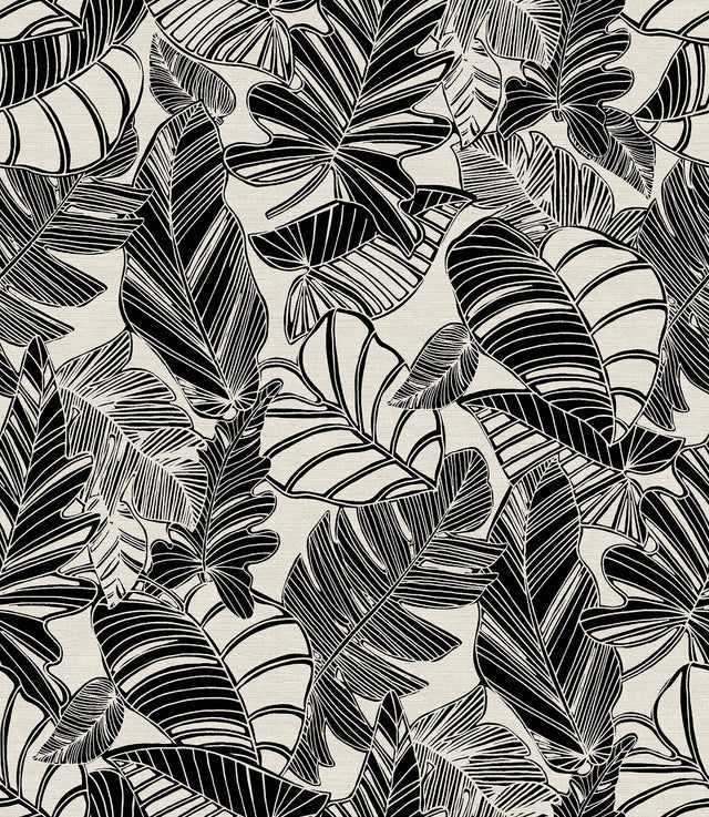 Pindo Wood Cut Palm Black Peel & Stick Wallpaper with Botanical Leaf Pattern, Bohemian Style - MS6136