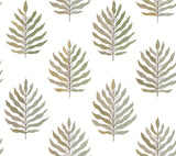 Miramar Desert Palm Wallpaper by York Wallcoverings – MT5603