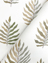 Miramar Desert Palm by York Wallcoverings Wallpaper – York Wallcoverings MT5603