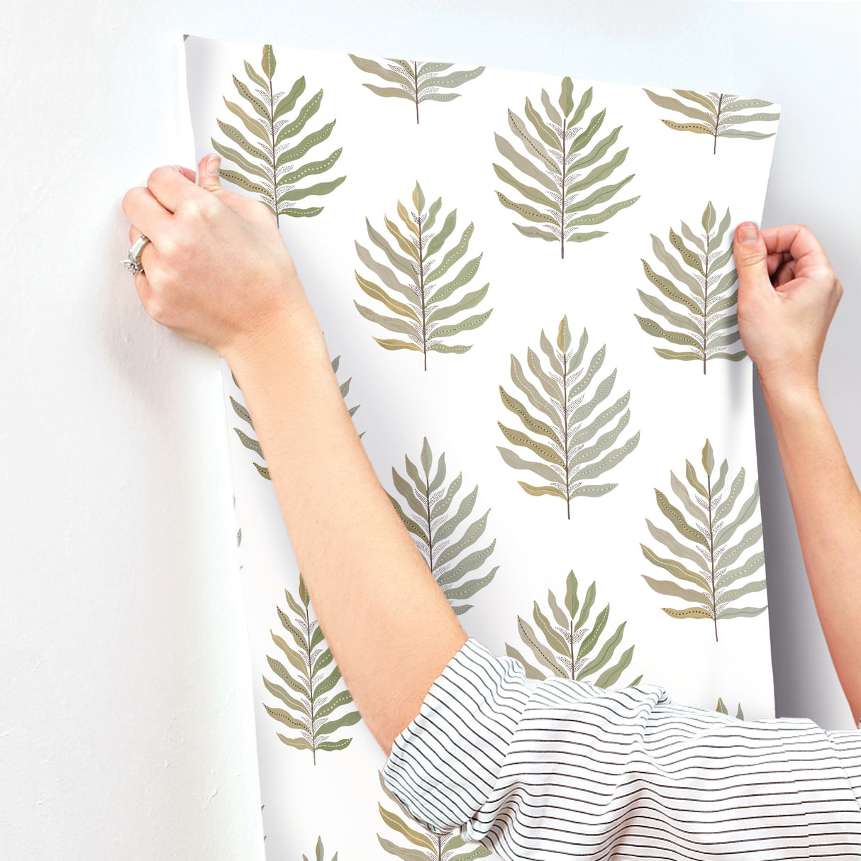Miramar Desert Palm by York Wallcoverings Wallpaper – York Wallcoverings MT5603