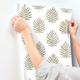 Miramar Desert Palm by York Wallcoverings Wallpaper – York Wallcoverings MT5603