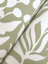 Olive Mill Palm by York Wallcoverings Botanical Non Woven Wallpaper, 20.5 in x 33 ft – York Wallcoverings MT5614
