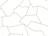 York Wallcoverings Suite Style Dolphin Wallpaper MT5621