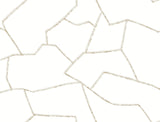 York MT5623 Suite Style Beach Wallpaper sample