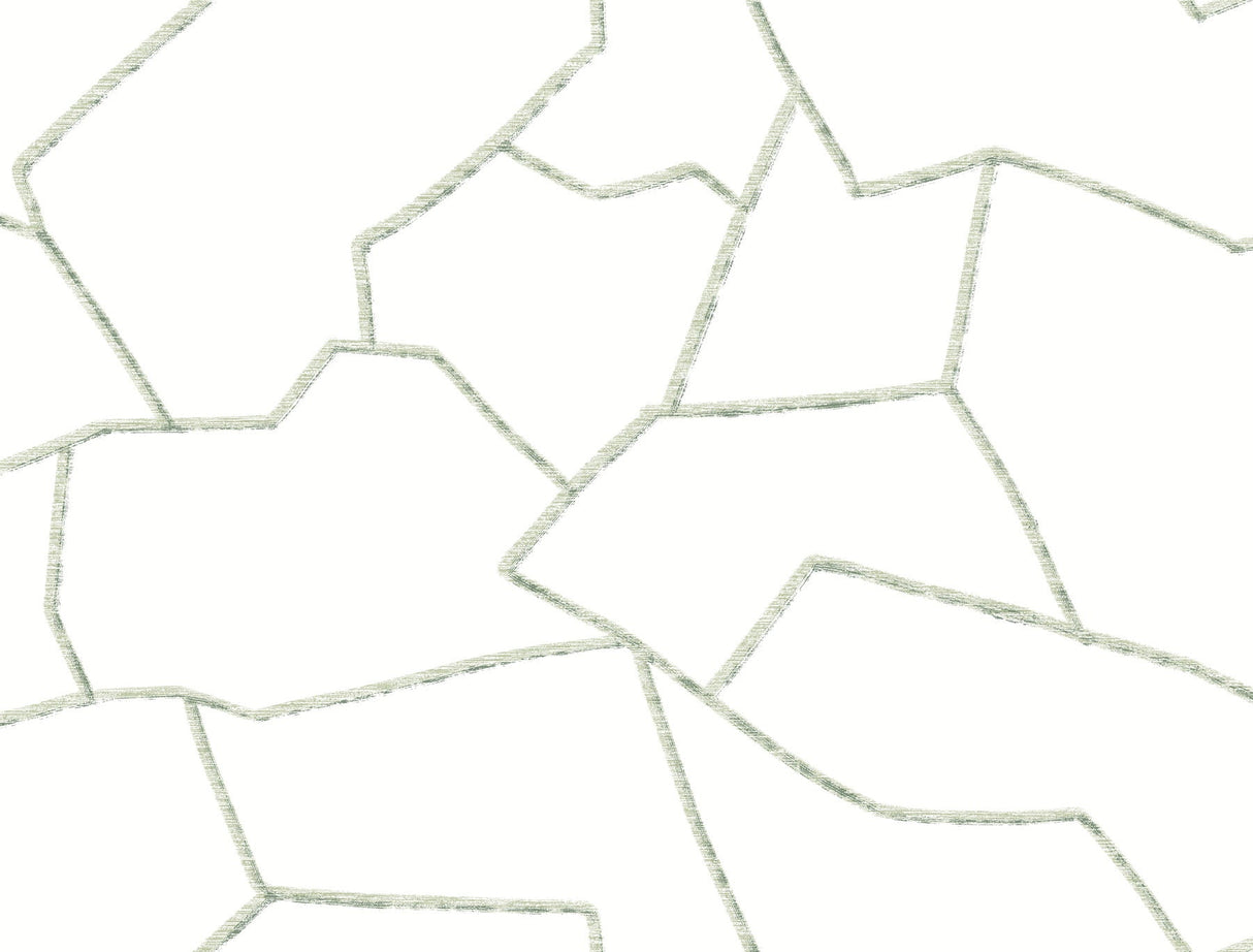 Suite Style Palm Wallpaper in Palm by York Wallcoverings, MT5624, 27 in x 27 ft