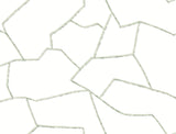 Suite Style Palm Wallpaper in Palm by York Wallcoverings, MT5624, 27 in x 27 ft