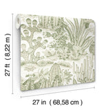 Lotus Land Cacti Palm by York Wallcoverings Wallpaper – York Wallcoverings MT5631